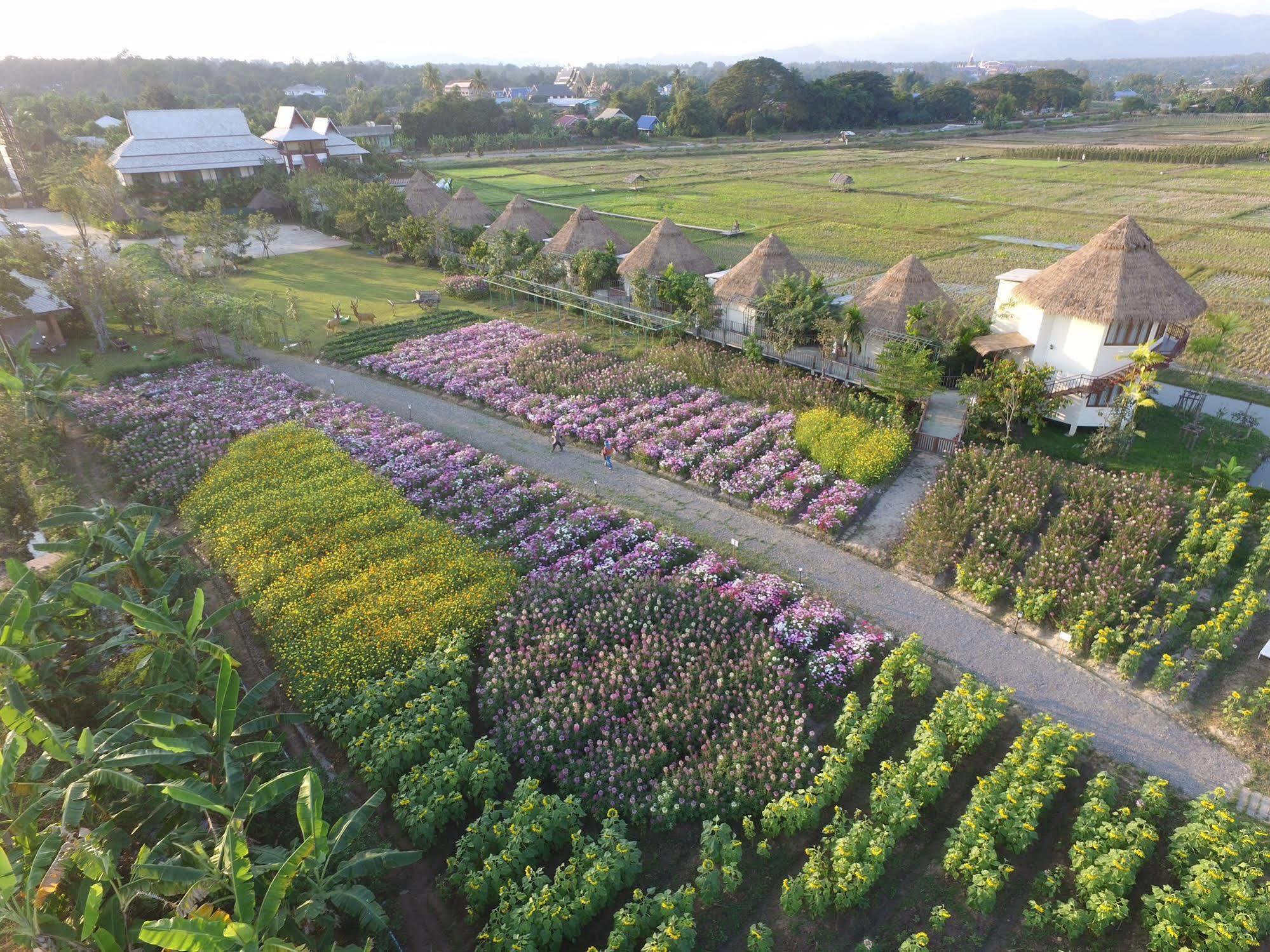 Phusanfah Resort Mae Taeng Buitenkant foto